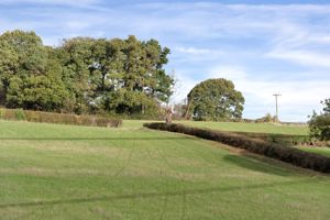 View to Front- click for photo gallery